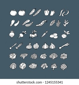 Vegetables hand drawn icon set in flat style. Perfect colorful vector design elements for decorations, organic food pattern, wrapping paper, bioproducts wallpaper