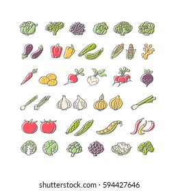 Vegetables hand drawn icon set in flat style. Perfect colorful vector design elements for decorations, organic food pattern, wrapping paper, bio products wallpaper