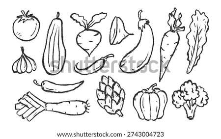 Vegetables hand drawn illustration set. Fresh vegetable doodle illustration pack. Rough ink sketch style of lettuce, cabbage, cucumber, eggplant, broccoli, corn, tomato, potato, carrot radish.