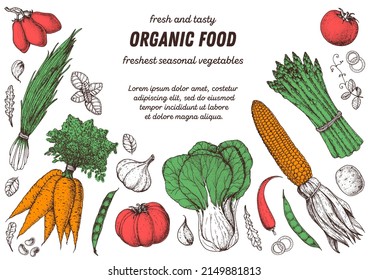 Vegetables hand drawn illustration. Top view frame. Organic food poster. Good nutrition, healthy food. Vector illustration. Carrot, corn, tomato, garlic, asparagus,  bok choy, cabbage, salad.