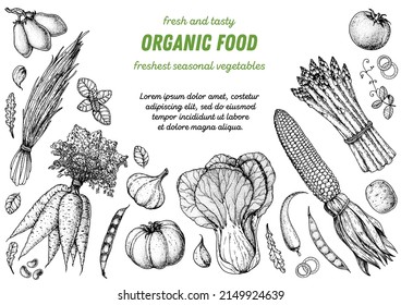 Vegetables hand drawn illustration. Top view frame. Vintage hand drawn sketch. Organic food poster. Good nutrition, healthy food. Vector illustration. Carrot, corn, tomato, garlic, asparagus, bok choy