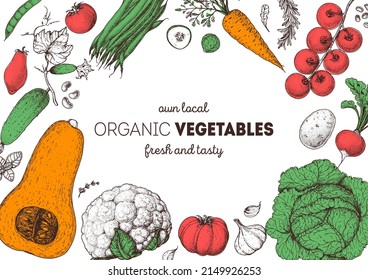 Vegetables hand drawn illustration. Top view frame. Vintage hand drawn. Organic food poster. Good nutrition, healthy food. Vector illustration. Cabbage, tomato, potato, carrot, garlic, beet.