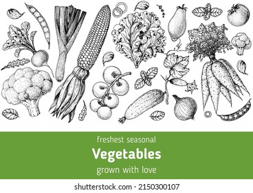 Vegetables hand drawn illustration. Top view frame. Vintage hand drawn sketch. Organic food poster. Good nutrition, healthy food. Vector illustration. Corn, tomato, carrot, broccoli, radish, lettuce