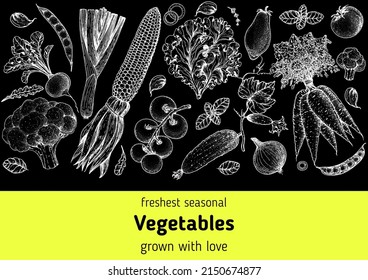 Vegetables hand drawn illustration. Top view frame. Vintage hand drawn sketch. Organic food poster. Good nutrition, healthy food. Vector illustration. Corn, tomato, carrot, broccoli, radish, lettuce