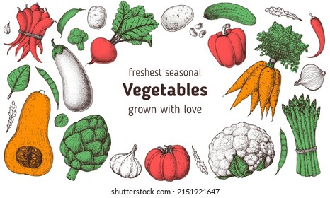 Vegetables hand drawn illustration. Top view frame. Vintage hand drawn sketch. Organic food poster. Good nutrition, healthy food. Vector illustration. Artichoke, carrot, pepper, eggplant, beet, garlic