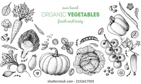 Vegetables hand drawn illustration. Top view frame. Vintage hand drawn. Organic food poster. Good nutrition, healthy food. Vector illustration. Carrot, artichoke, cabbage, pepper, tomato, pumpkin.