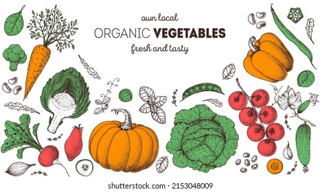 Vegetables hand drawn illustration. Top view frame. Vintage hand drawn. Organic food poster. Good nutrition, healthy food. Vector illustration. Carrot, artichoke, cabbage, pepper, tomato, pumpkin.