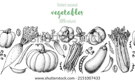 Vegetables hand drawn illustration. Top view frame. Vintage hand drawn. Organic food poster. Good nutrition, healthy food. Vector illustration. Pepper, daikon, pumpkin, celery, eggplant, tomato, pea