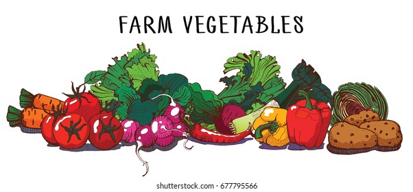 vegetables hand drawn illustrations, in sketch, engraving style. Detailed isolated elements on white background. tomato and carrot, onion and pepper, beet and radish,natural product
