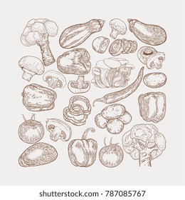 Vegetables hand drawn sketch vector illustration. Mushroom champignon, eggplant, tomato, potato, pepper, broccoli fresh organic food isolated on white. Drawing art, engraving, ink, line art, vector.