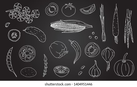 Vegetables hand drawn style white color on black background