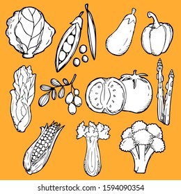 Vegetables are hand drawn in vector.