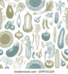 Vegetables hand drawn vector seamless pattern. Retro engraved style background. Can be use for menu, label, packaging, farm market
