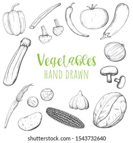 Vegetables hand drawn vector set, isolated sketched veggies.