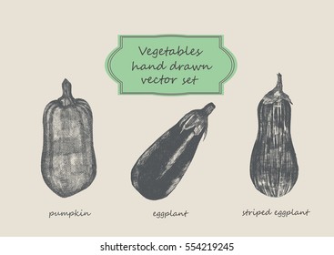 Vegetables hand drawn vector set. Pumpkin, egg plant, striped egg plant.