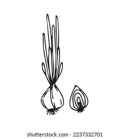 Vegetables Hand Drawn Vector Shape