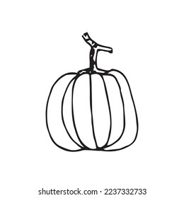 Vegetables Hand Drawn Vector Shape