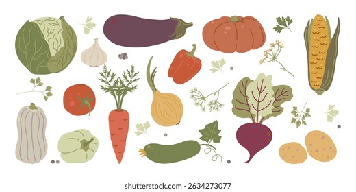 Vegetables hand-drawn Set in boho style cabbage, tomato, beetroot, onion, corn, pumpkin, and other farm veggies. Perfect for food branding, rustic packaging,eco labels, and fall harvest designs