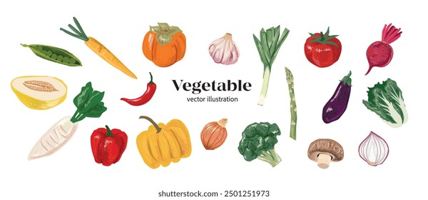 Vegetables in Hand-drawn style set, icon collection, food elements for design menu label packaging vector illustration