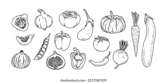 Verduras en conjunto de estilo dibujado a mano, colección de ícono, Elementos de alimentos para el menú de diseño Ilustración vectorial de empaquetado de etiquetas