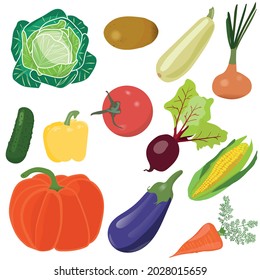 vegetables harvest cabbage potato zucchini onion cucumber pepper tomato beetroot corn pumpkin carrot  eggplant