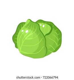 Vegetables. Head of cabbage. Vector illustration cartoon flat icon isolated on white.