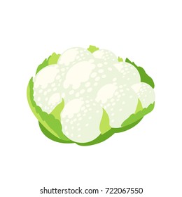 Vegetables. Head of cauliflower with leaves. Vector illustration cartoon flat icon isolated on white.