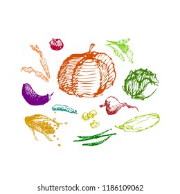 Vegetables, healthy food. Hand drawn sketch doodle vector illustration.