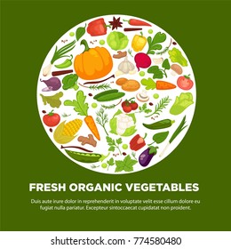 Vegetables healthy food poster of organic veggie, fresh healthy cabbage and vegetarian food.