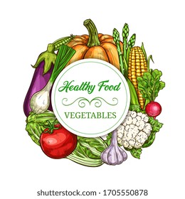 Vegetables, healthy greenery food, vector veggies and farm harvest sketch banner. Pumpkin and asparagus, tomato and garlic, cauliflower and corn, cabbage and eggplant, onion and radish vegetables