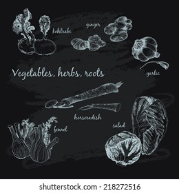 Vegetables, herb and roots. Hand drawn cooking set