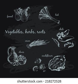 Vegetables, herb and roots. Hand drawn cooking set