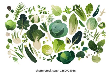 Vegetables and herbs background isolated on white, leafy greens template background