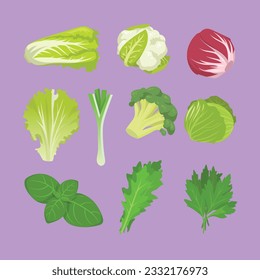 recolección de hierbas vegetales, especias de col de ensalada, diferentes tipos de vegetales, verduras coloridas 