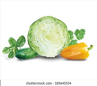 Vegetables and herbs composition. Vector eps 10.