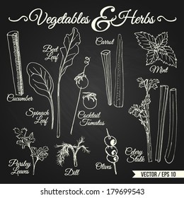 Vegetables and herbs drawings set for different usage
