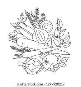 Vegetables herbs and spices line art vector
