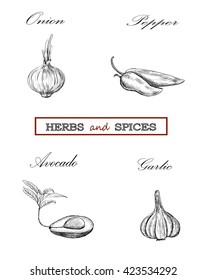 Vegetables, herbs and spices set. Onion, garlic, pepper, avocado. Vector sketch