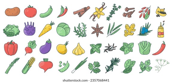 Vegetales, hierbas y especias constituyen ilustraciones vectoriales. Plantas aromáticas y alimentos vegetarianos. Conjunto de elementos de diseño de iconos y menús.