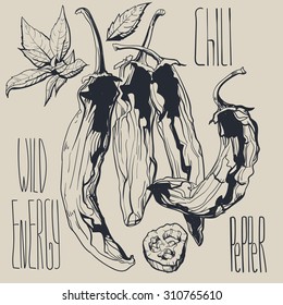 Vegetables - HOT PEPPERS - Hand drawn stylish illustration with chili peppers