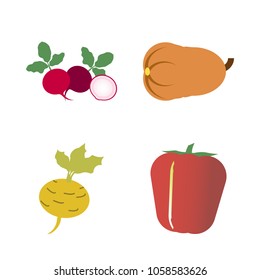 Vegetables icon set with 4 about radish, pumpkin, yellow, gourd, capsicum and turnip