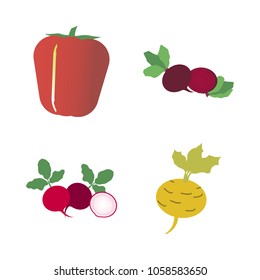 Vegetables icon set with 4 about turnip, beet, red, radish, yellow and capsicum