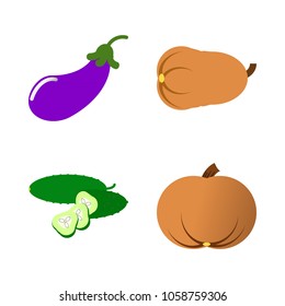 Vegetables icon set with 4 about long, muslim, gourd, slice, aubergine and slices