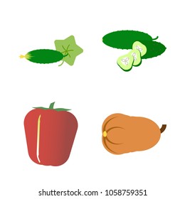 Vegetables icon set with 4 about slices, gourd, pumpkin, muslim, red and bell pepper