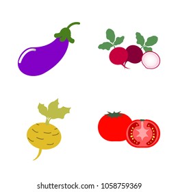 Vegetables icon set with 4 about tomato, radish, eggplant, yellow, aubergine and turnip