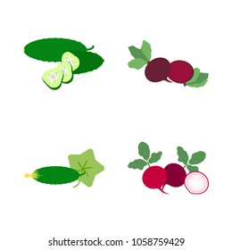 Vegetables icon set with 4 about cucumber, slices, radish, red, slice and beet