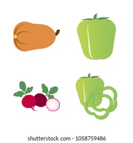 Vegetables icon set with 4 about slices, pumpkin, radish, gourd, bell pepper and capsicum