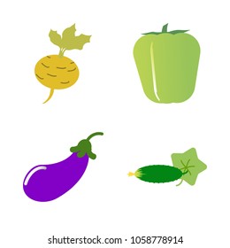 Vegetables icon set with 4 about yellow, turnip, root, cucumber, capsicum and bell pepper