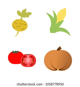 Vegetables icon set with 4 about turnip, yellow, root, gourd, pumpkin and tomato
