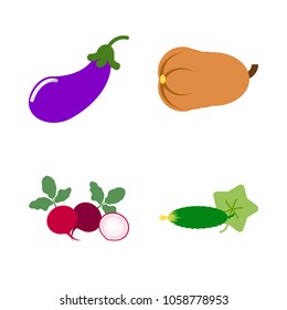 Vegetables icon set with 4 about long, gourd, aubergine, eggplant, radish and muslim